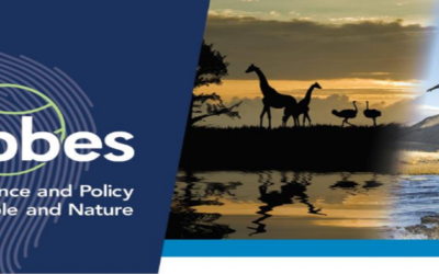 Cinq nouveaux rapports d’évaluation majeurs de l’IPBES