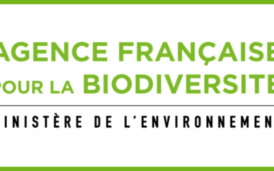 Présentation des activités en faveur de la protection des espèces marines
