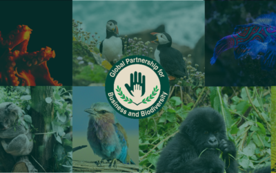 Réunion du Partenariat Mondial pour les Entreprises & la Biodiversité, le 07/11
