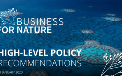 Business for Nature : Recommandations aux dirigeants politiques pour favoriser l’action des entreprises
